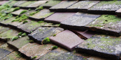 Llanllwni roof repair costs